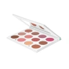 Pro Makeup Palette Blushes