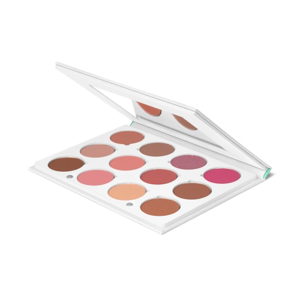 Pro Makeup Palette Blushes Pro Makeup Palette Blushes