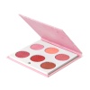 OFRA Blush Palette Charm Your Cheeks OFRA Blush Palette Charm Your Cheeks