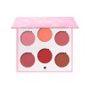 OFRA Blush Palette Charm Your Cheeks OFRA Blush Palette Charm Your Cheeks