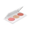 Sitting Pretty Midi Palette