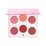 OFRA Blush Palette Charm Your Cheeks