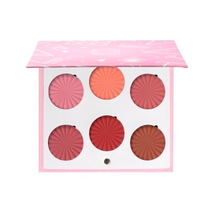 OFRA Blush Palette Charm Your Cheeks